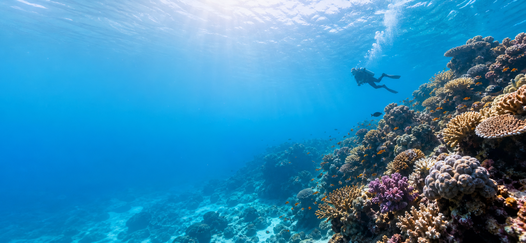 Sunlit tropical reef with a diver in blue water